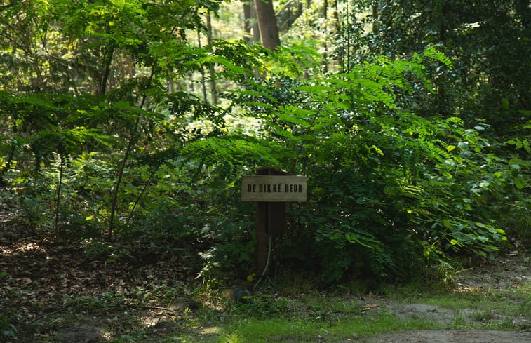 Natuurhuisje in Papenvoort