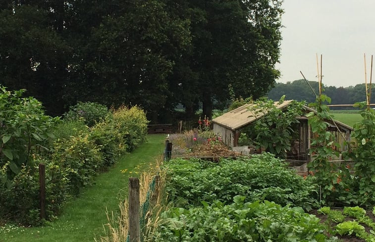 Natuurhuisje in Lochem