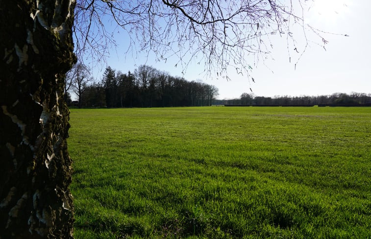 Natuurhuisje in Brummen