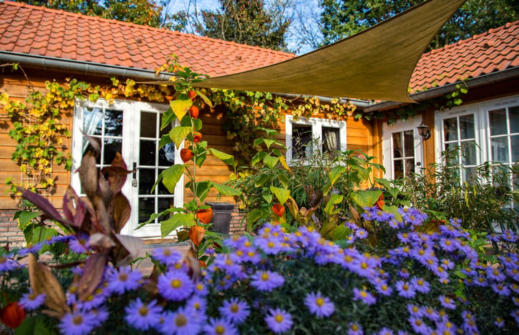 Natuurhuisje in ERMELO (Buitengebied Horst)