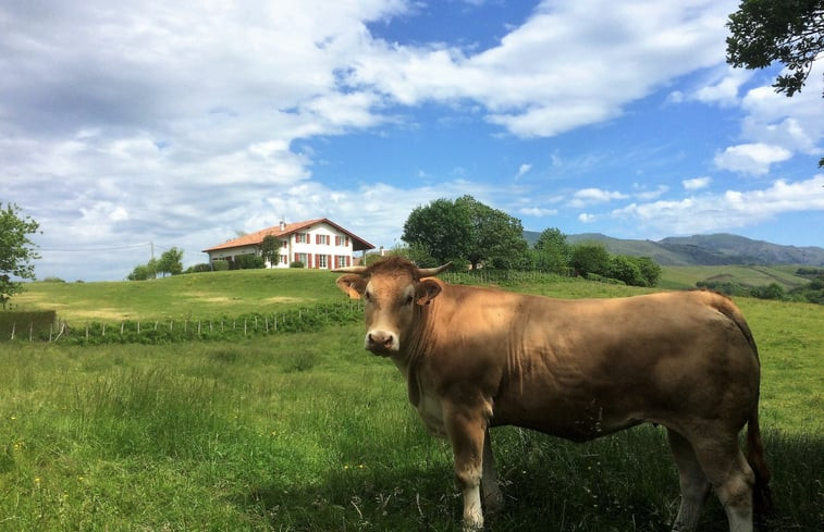 Natuurhuisje in Louhossoa