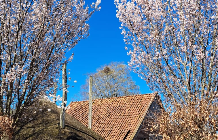 Natuurhuisje in Dalfsen