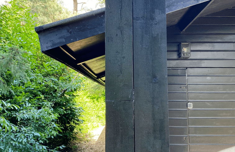 Natuurhuisje in Rheezerveen