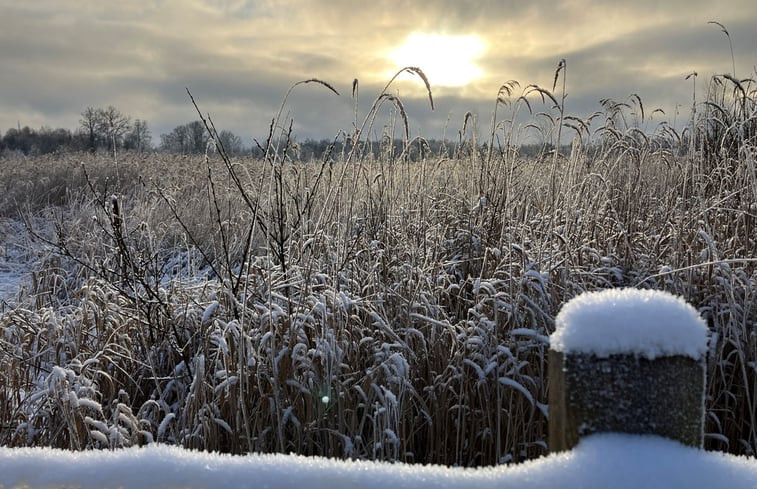 Natuurhuisje in Västra Torup