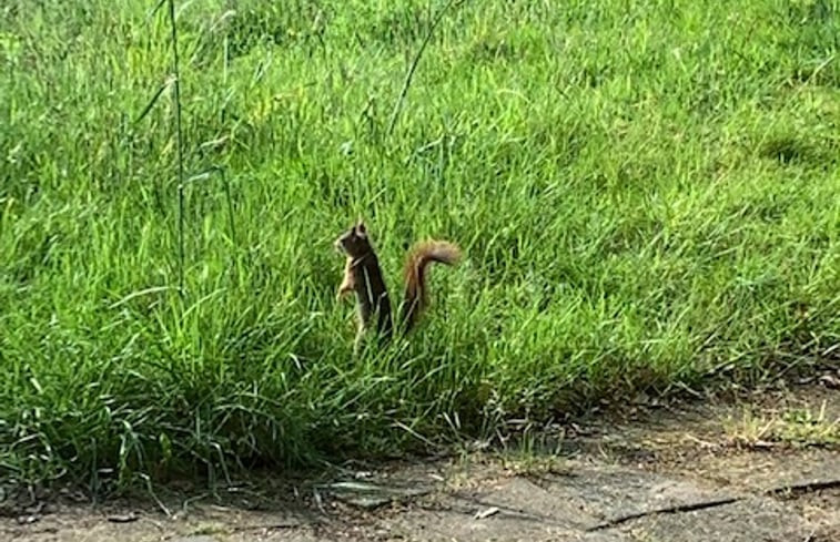 Natuurhuisje in Reutum