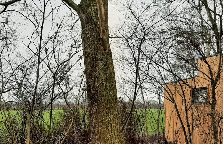 Natuurhuisje in De Wilp