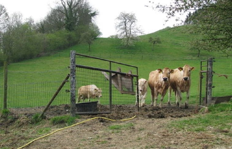 Natuurhuisje in Wijlre