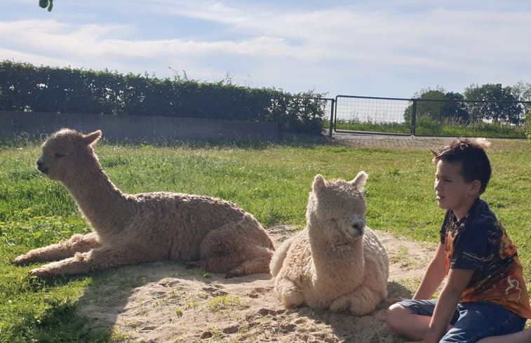 Natuurhuisje in Nederasselt