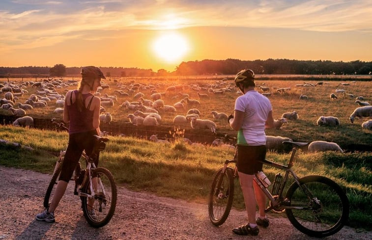 Natuurhuisje in Putten