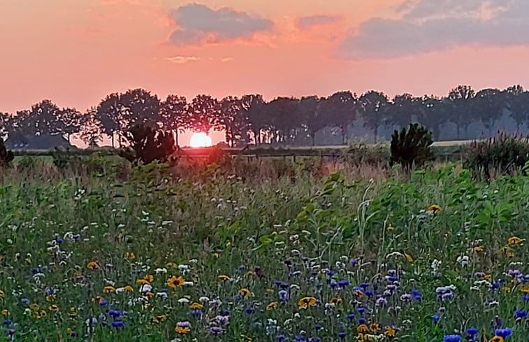 Natuurhuisje in Bronneger