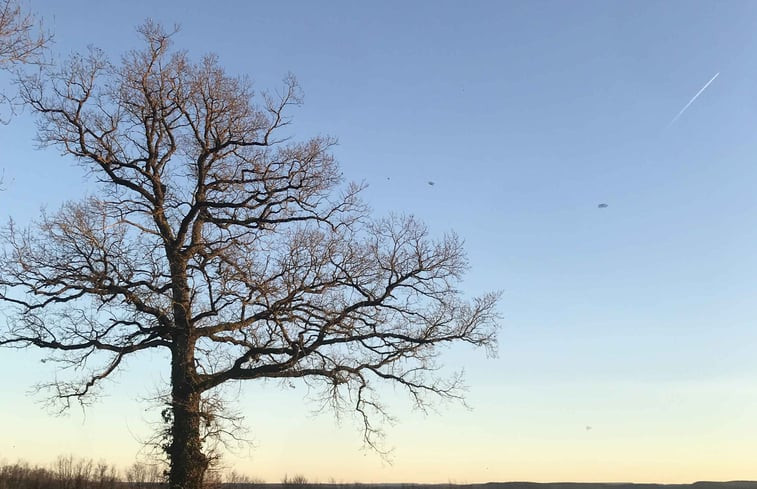 Natuurhuisje in Bussières