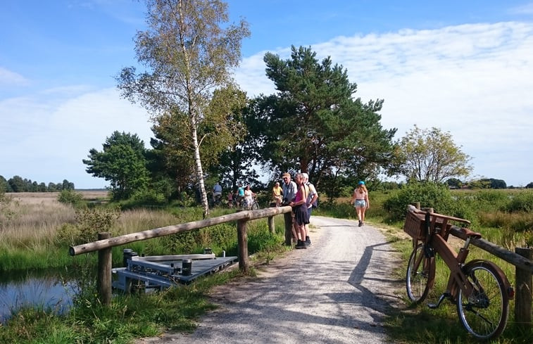 Natuurhuisje in Koekange