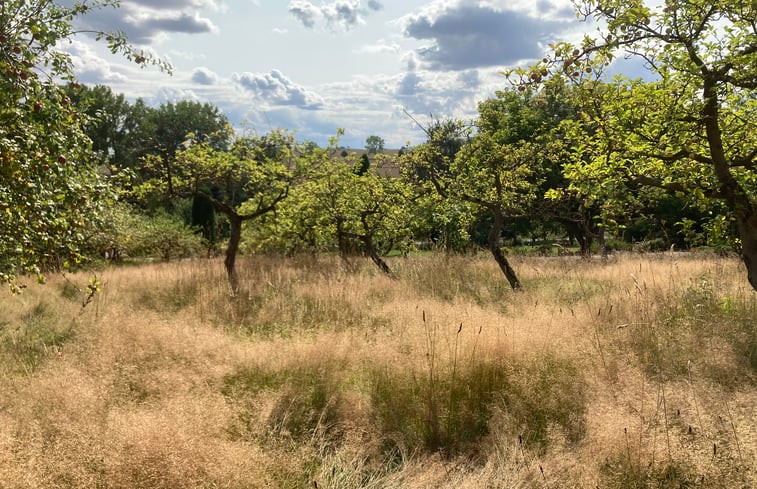 Natuurhuisje in Leinefelde-Worbis