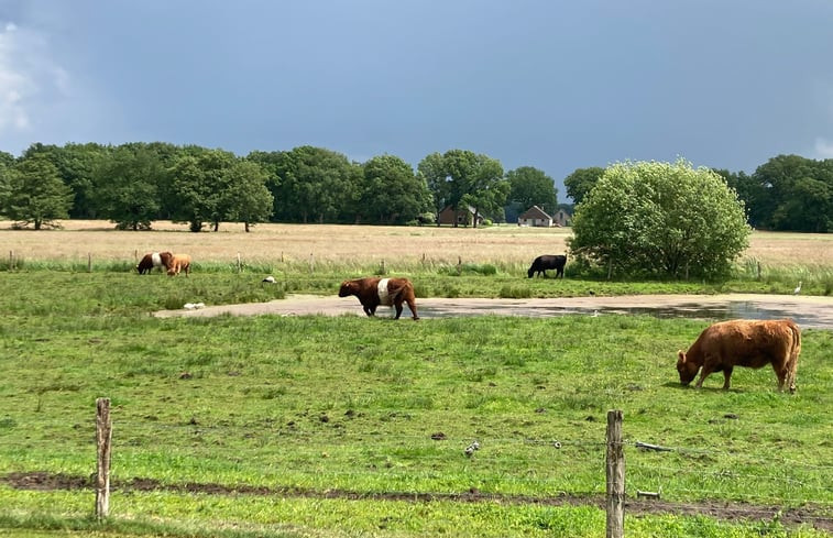 Natuurhuisje in Staphorst