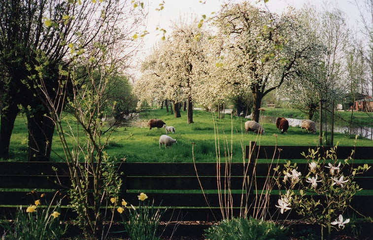 Natuurhuisje in Polsbroek