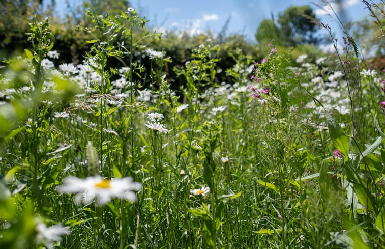 Natuurhuisje in Slenaken