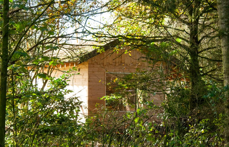 Natuurhuisje in Drouwenerveen