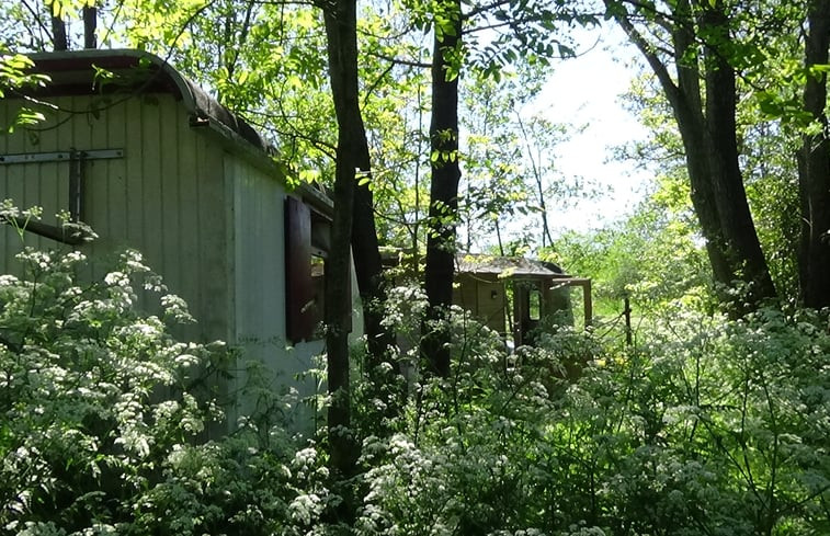 Natuurhuisje in Grou