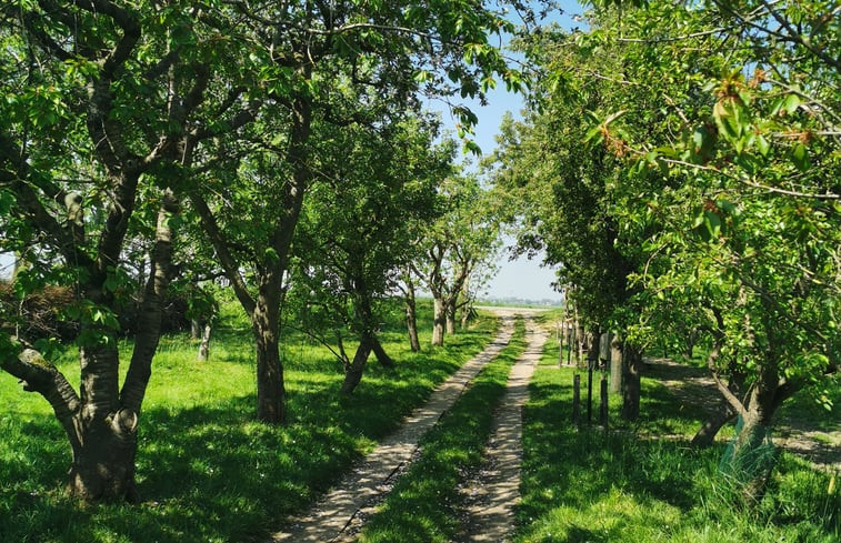 Natuurhuisje in Montfoort