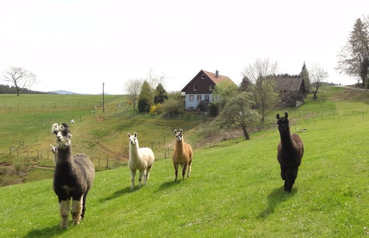 Natuurhuisje in Biederbach