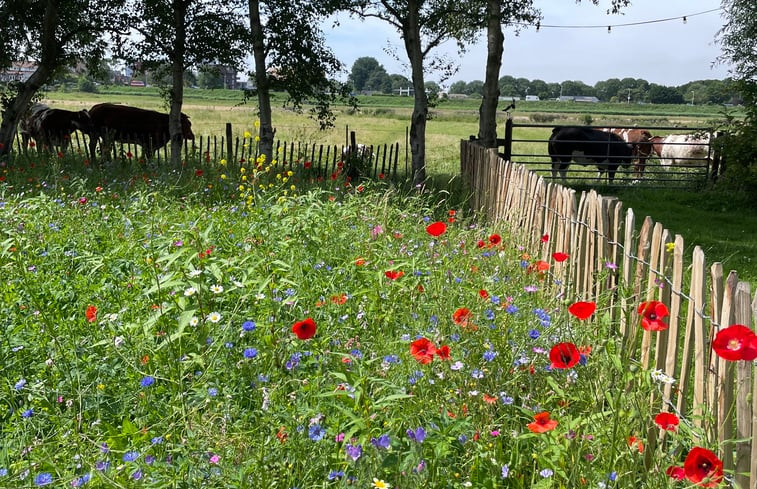 Natuurhuisje in Amsterdam