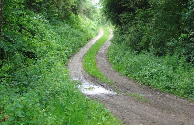 Natuurhuisje in Willerzie