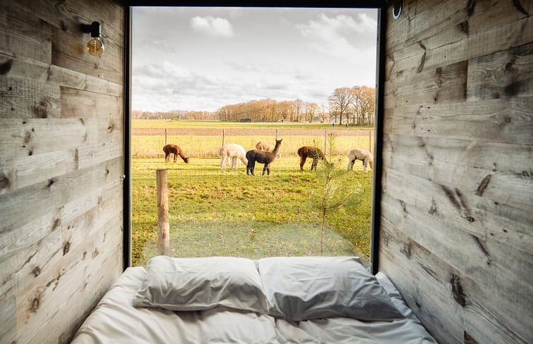 Natuurhuisje in Mariahout