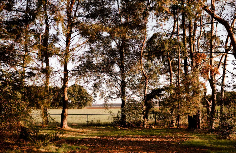 Natuurhuisje in Uddel