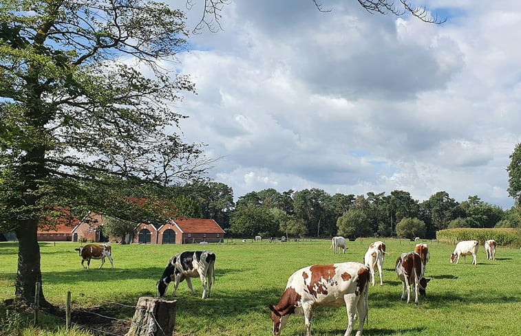 Natuurhuisje in Diepenheim