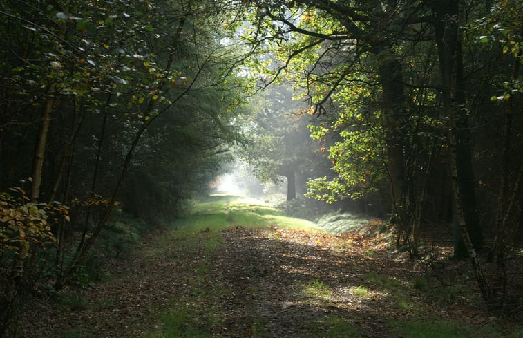 Natuurhuisje in Baarschot