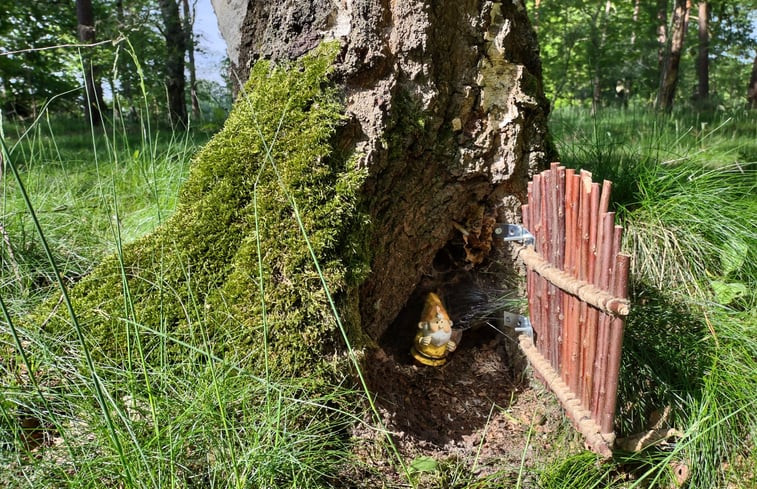 Natuurhuisje in Mierlo