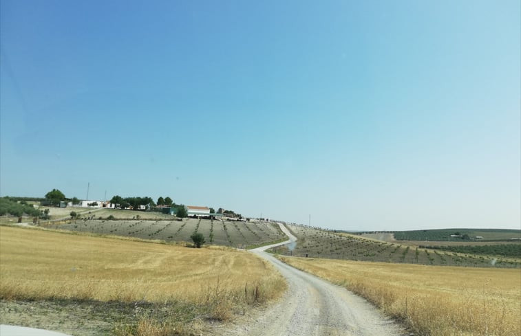 Natuurhuisje in Morón de la Frontera