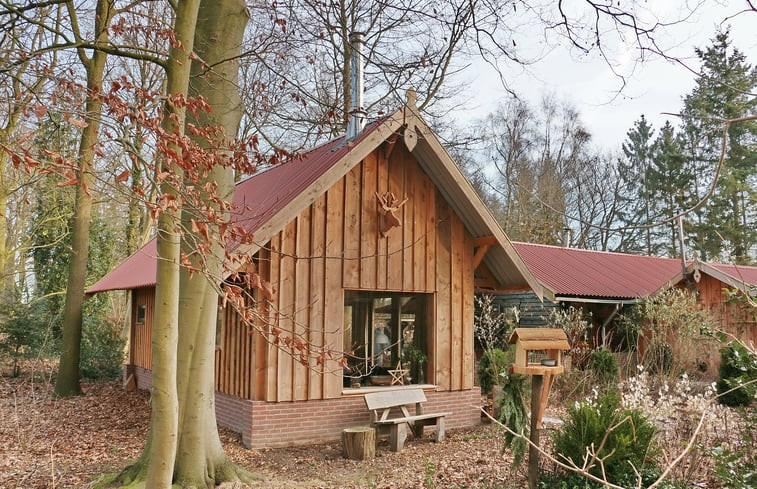 Natuurhuisje in Laren Gld