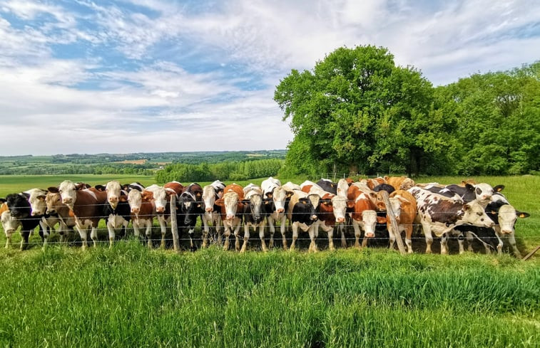 Natuurhuisje in Mainbressy