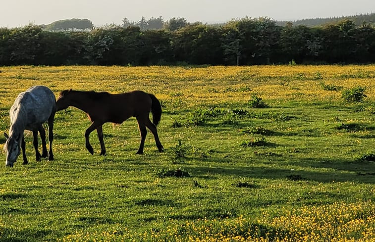 Natuurhuisje in Easkey