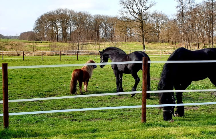 Natuurhuisje in Ureterp