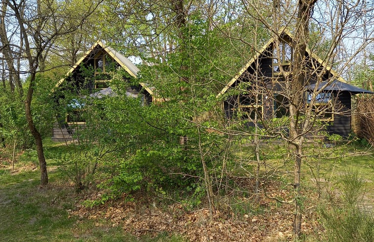 Natuurhuisje in Bergeijk