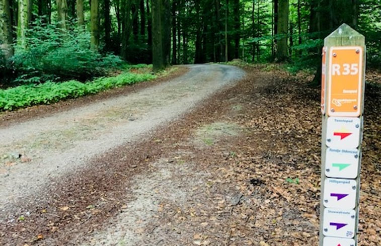 Natuurhuisje in de Lutte