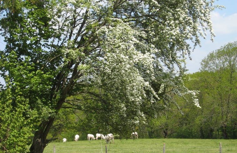 Natuurhuisje in St. Hilaire pres Pionsat