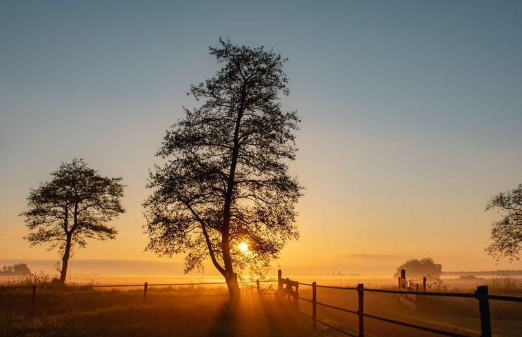 Natuurhuisje in Snikzwaag