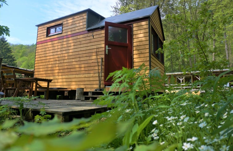 Natuurhuisje in Thale OT Wendefurth