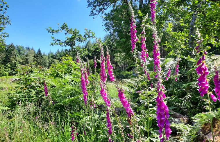 Natuurhuisje in Corancy