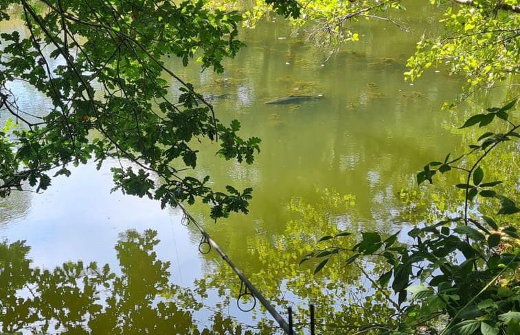 Natuurhuisje in Ronquières