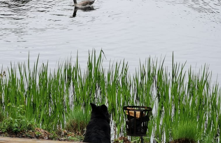 Natuurhuisje in Een