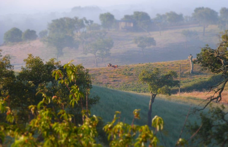 Natuurhuisje in Cercal do Alentejo