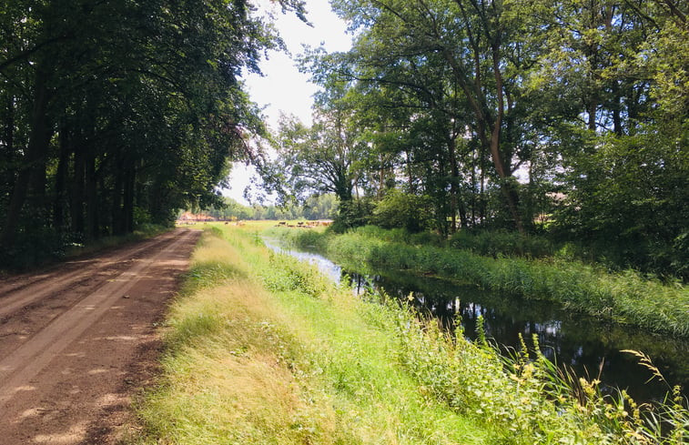 Natuurhuisje in Ruurlo