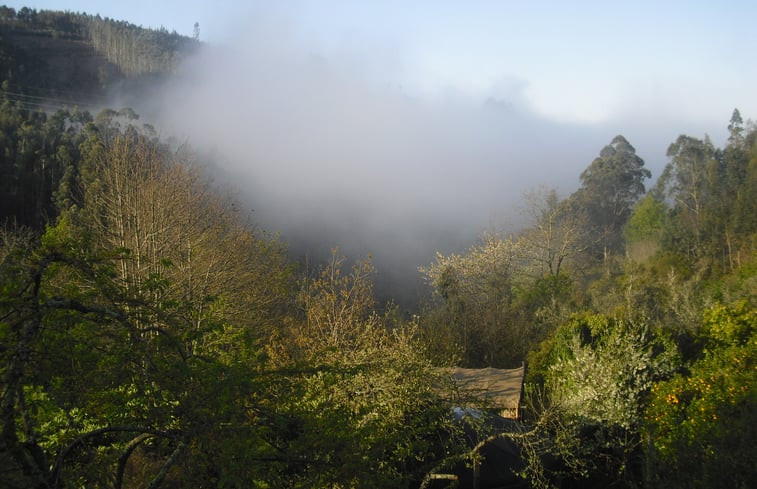 Natuurhuisje in Penela