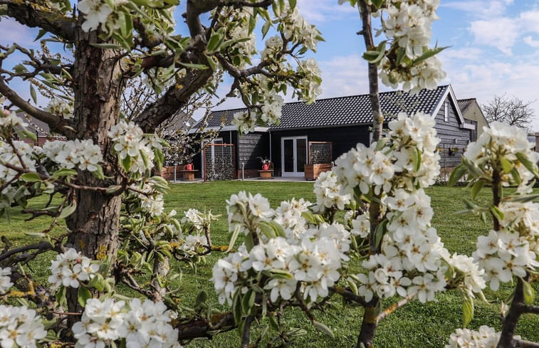 Natuurhuisje in Sommelsdijk