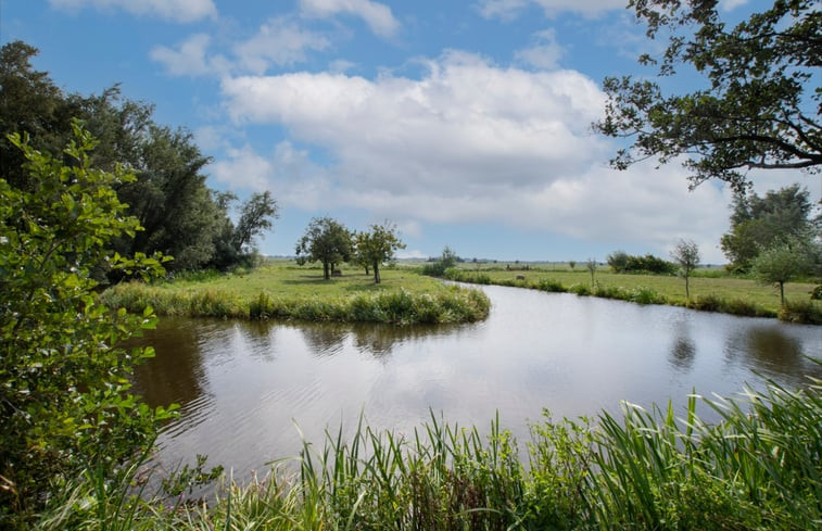 Natuurhuisje in Aarlanderveen