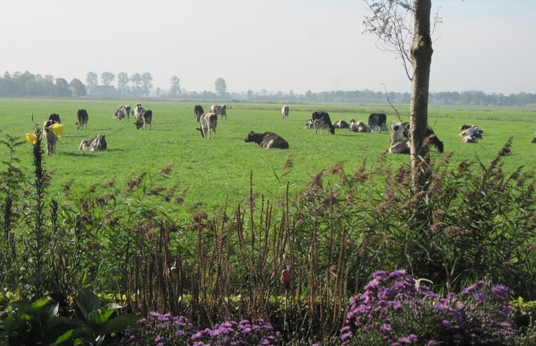 Natuurhuisje in Readtsjerk (Roodkerk)